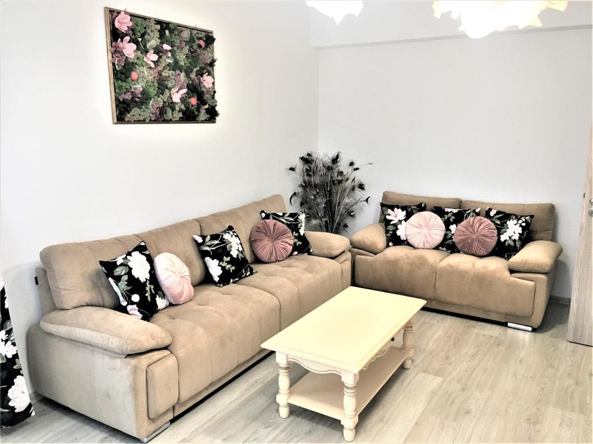 23 Residence Braşov Extérieur photo
